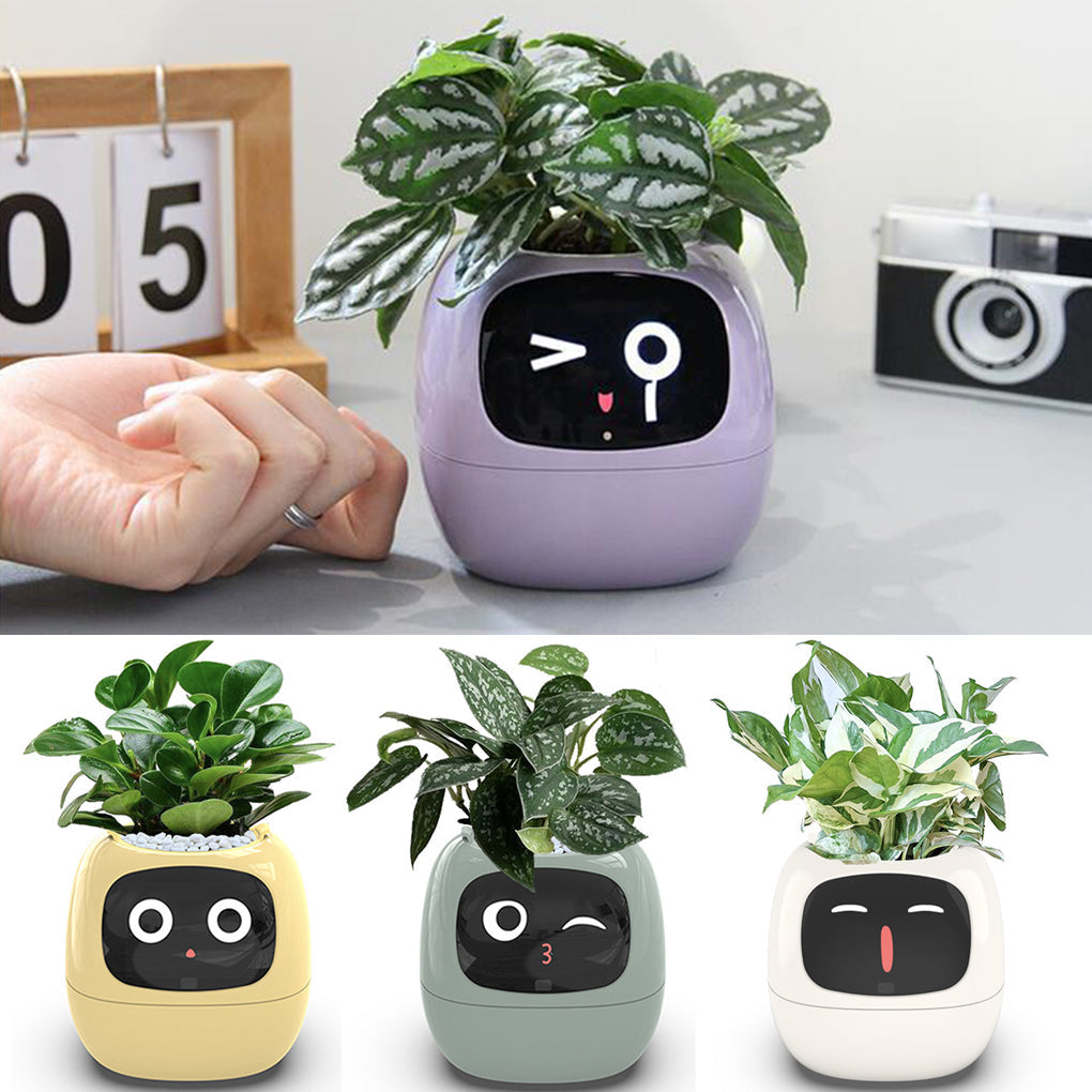 Smart Planter USB Wiederaufladbarer Blumentopf – Dein smarter Gartenhelfer! 🌿🤖